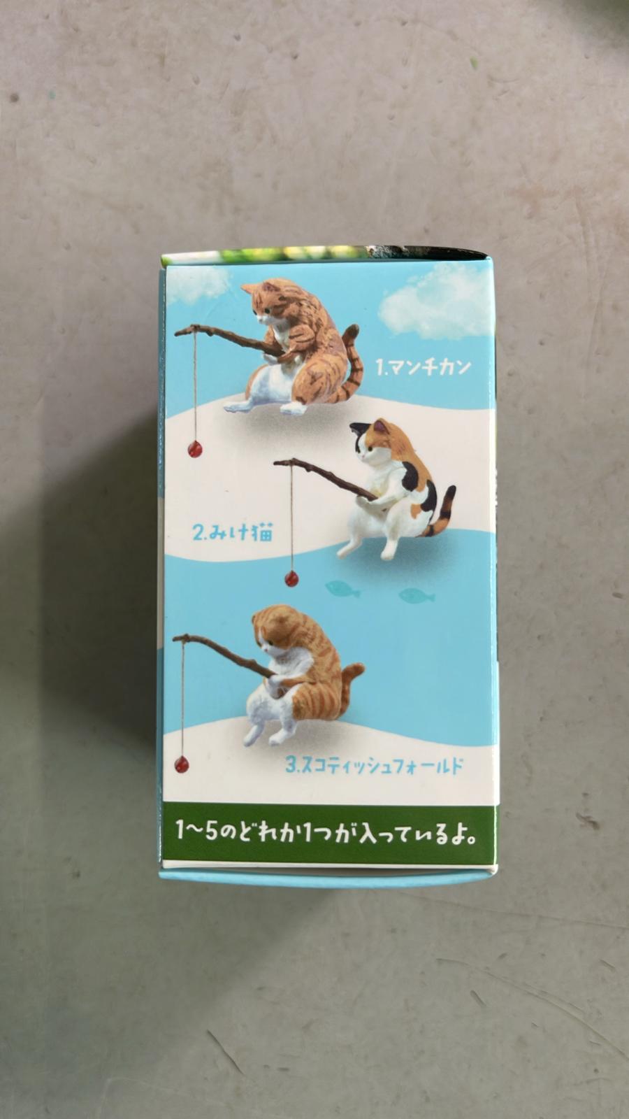 Fishing Cat mystery box